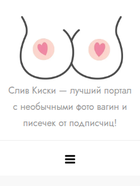 Скриншот сайта slivkiska.top